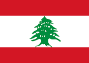 Flag (28)