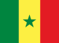 Flag (41)