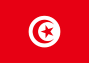 Flag (46)