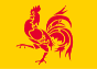 Flag (49)